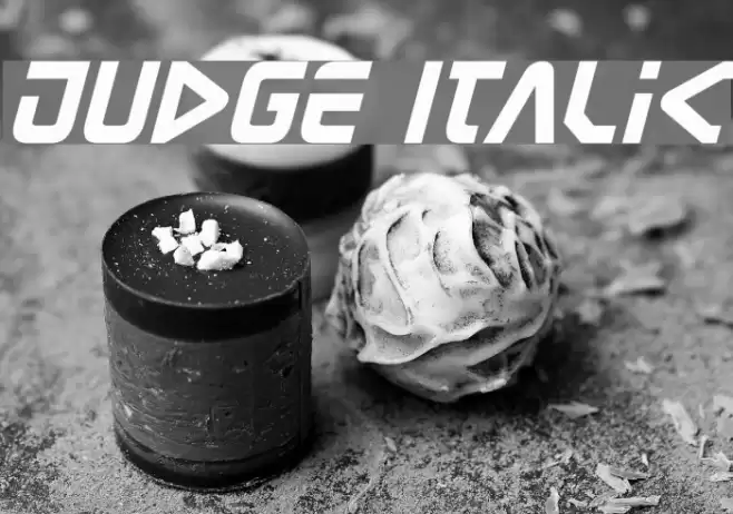 Judge Italic Font examples