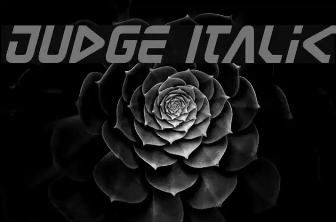 Judge Italic Font examples