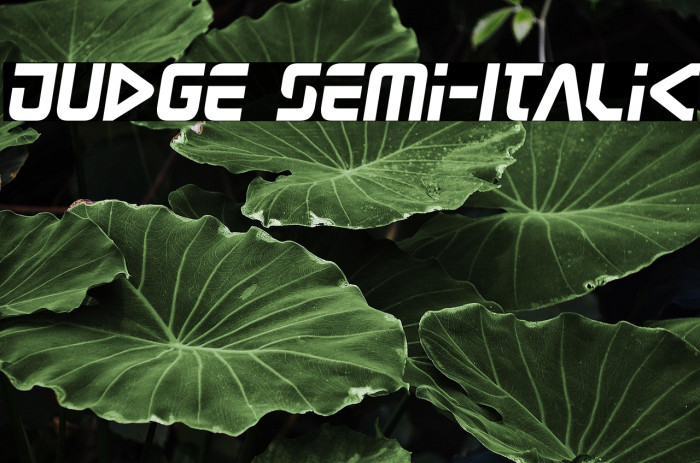 Judge Semi-Italic Example 1