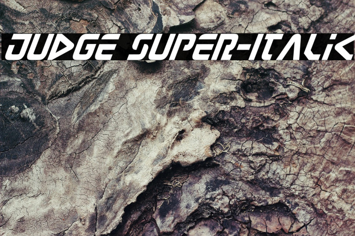 Judge Super-Italic Example 1