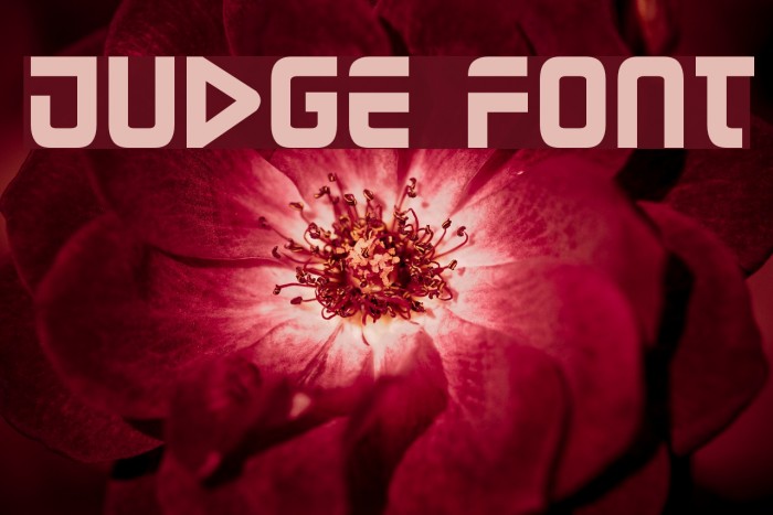 Judge Font examples
