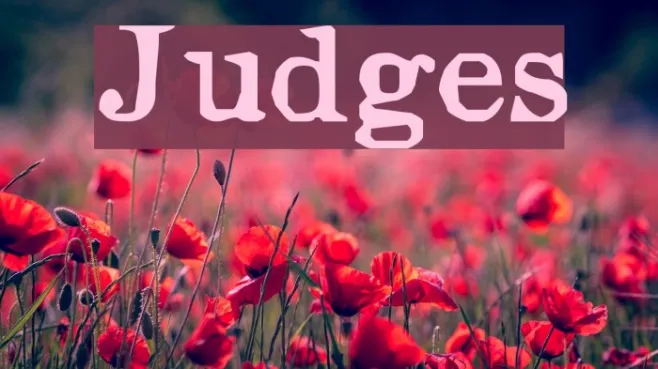 Judges Example 3