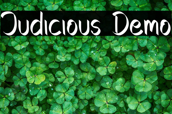 Judicious Demo Example 2