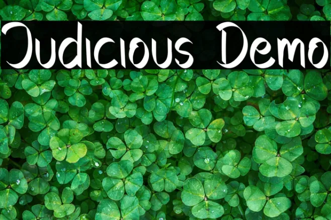 Judicious Demo Example 2