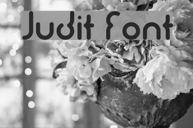 Judit Font examples