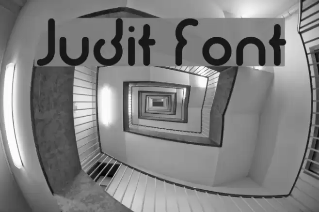 Judit Font examples