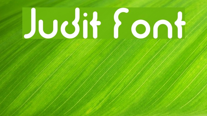 Judit Font examples