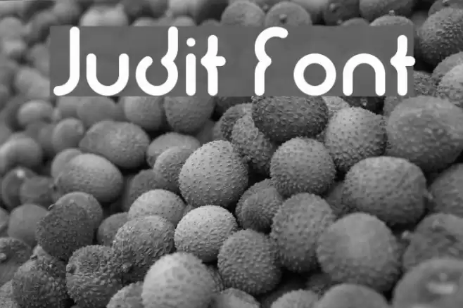 Judit Font examples