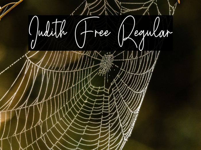 Judith Free Regular Example 2