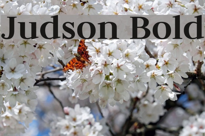 Judson Bold Font examples