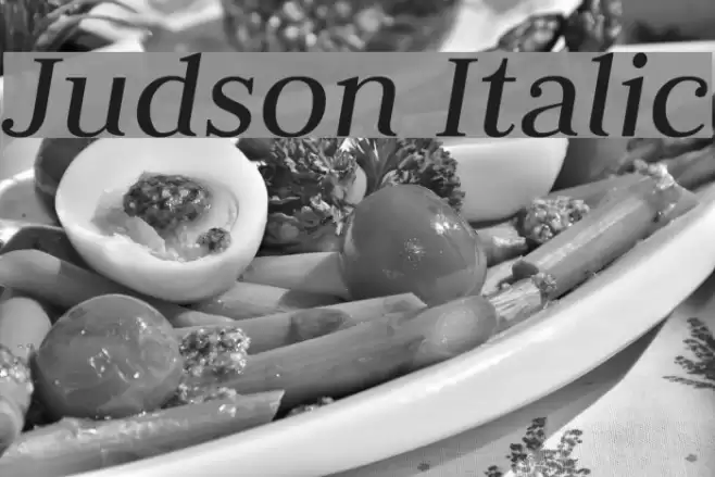 Judson Italic Font examples