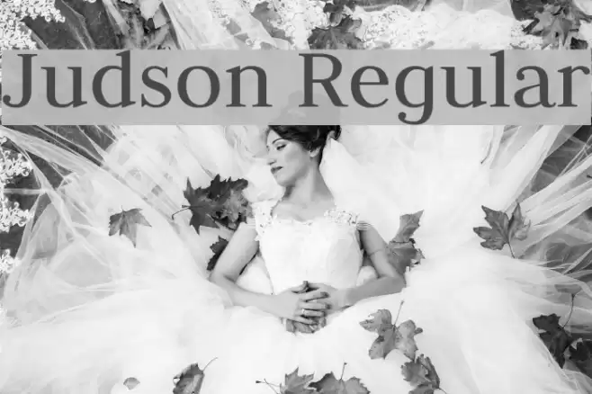 Judson Regular Font examples