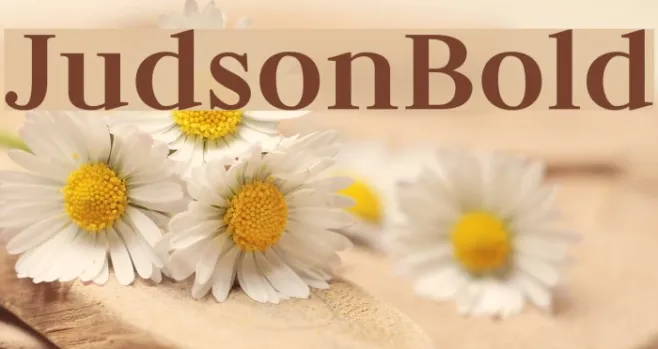JudsonBold Example 1