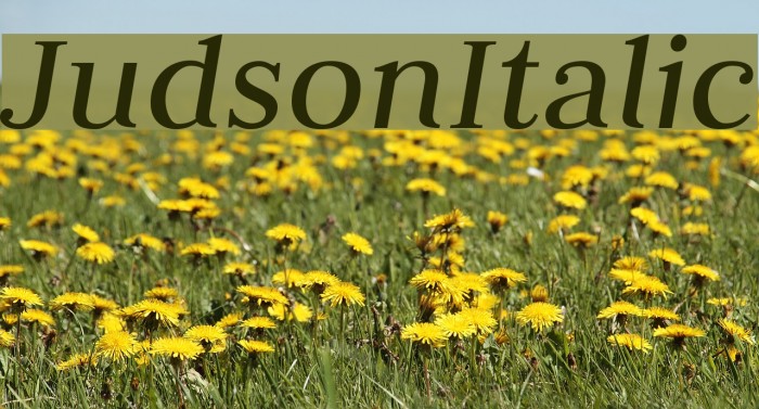 JudsonItalic Font examples