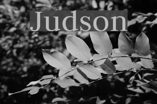 Judson Font examples