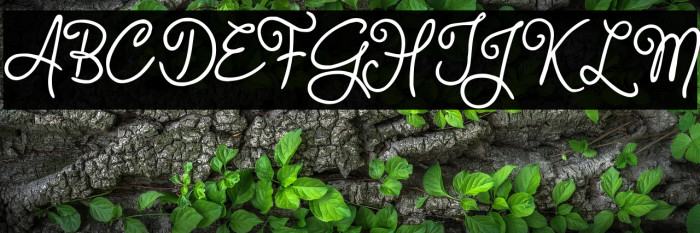 Judyth Demo Example 1