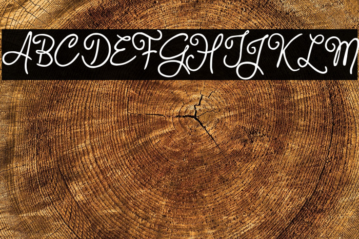 Judyth Demo Example 2