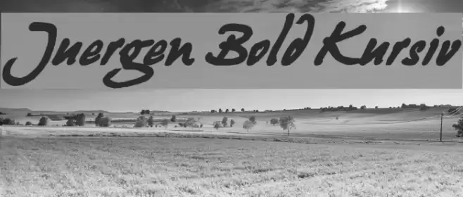 Juergen Bold Kursiv Font examples