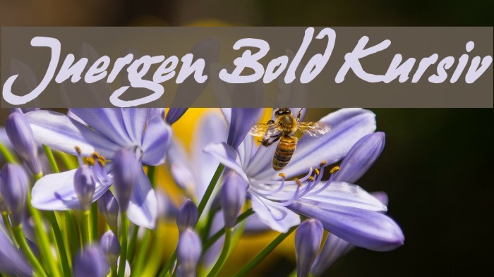 Juergen Bold Kursiv Font examples