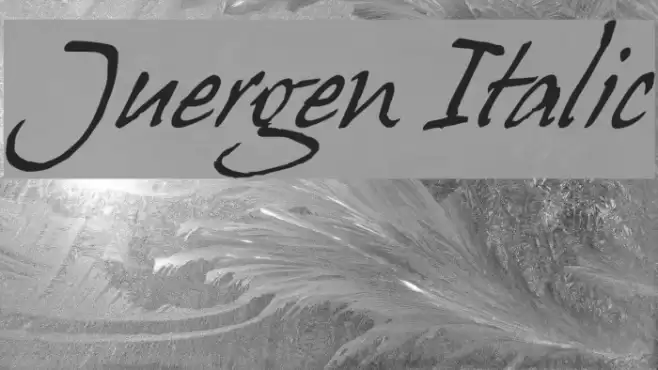 Juergen Italic Font examples