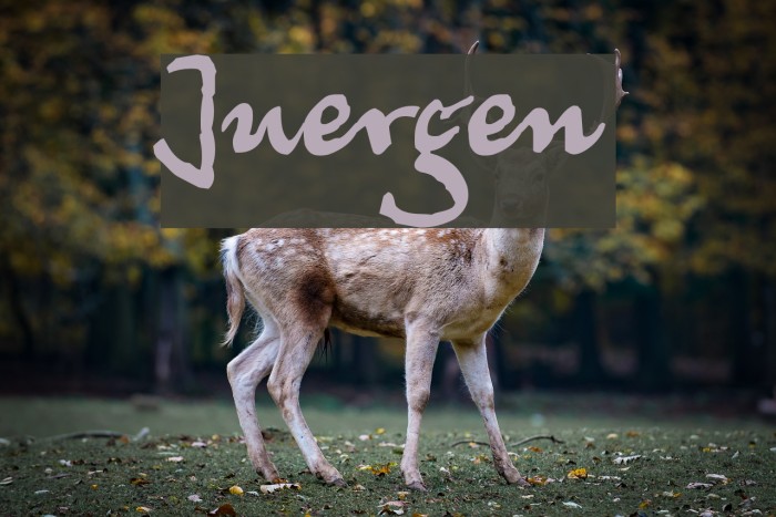 Juergen Font examples