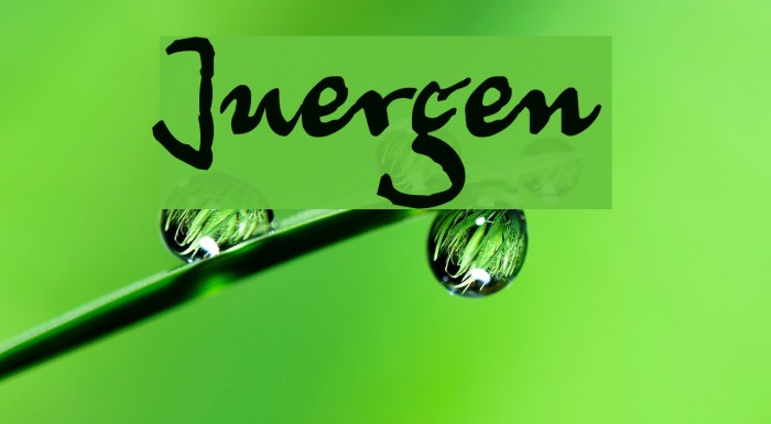 Juergen Font examples