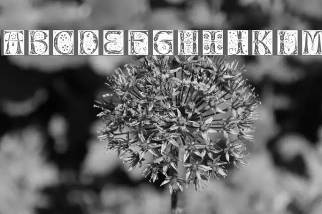 Jugend Font examples