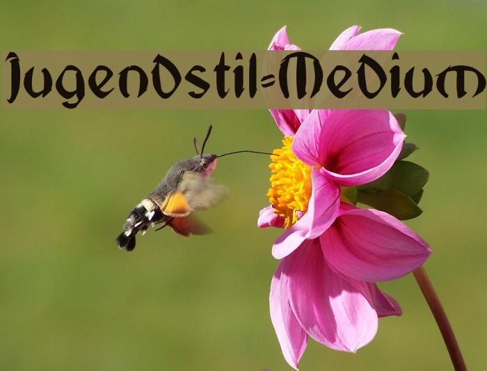 Jugendstil-Medium Font examples