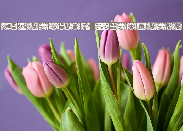 Jugendstil Ornamente Font examples