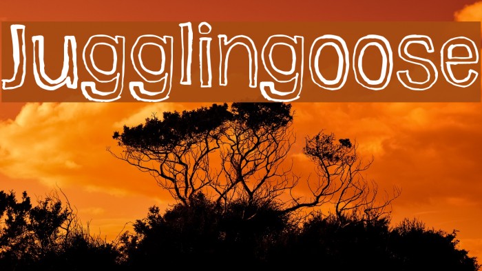 Jugglingoose Font examples