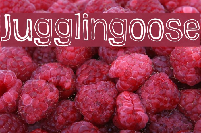 Jugglingoose Font examples