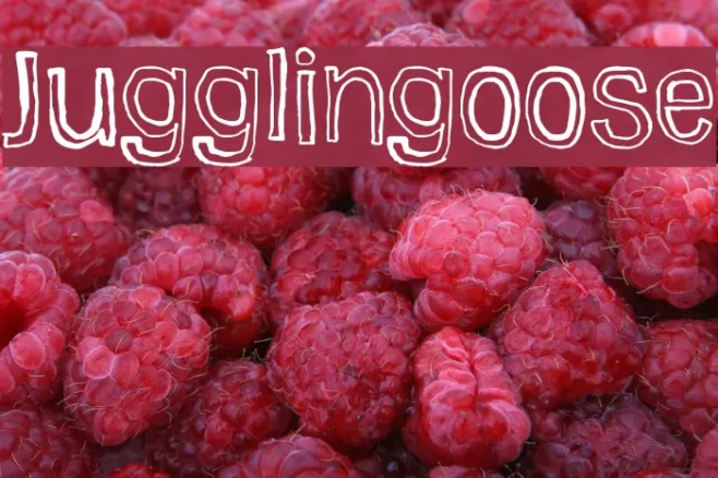 Jugglingoose Example 2