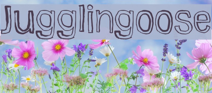 Jugglingoose Font examples