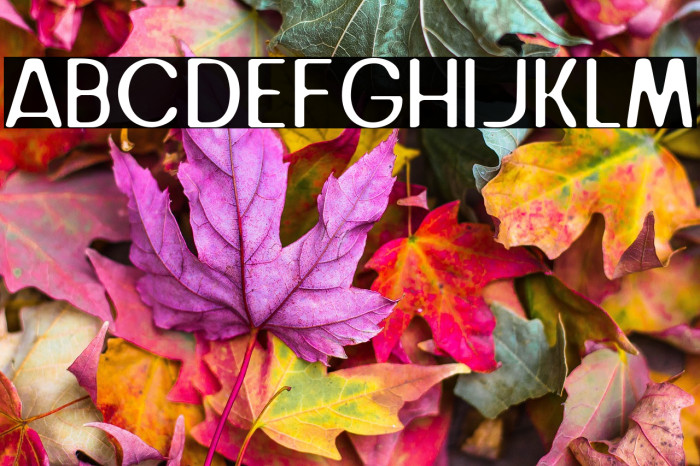 Juice Avocado Example 1