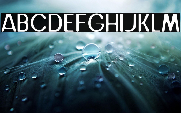 Juice Avocado Example 2