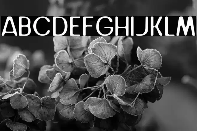 Juice Avocado Font examples