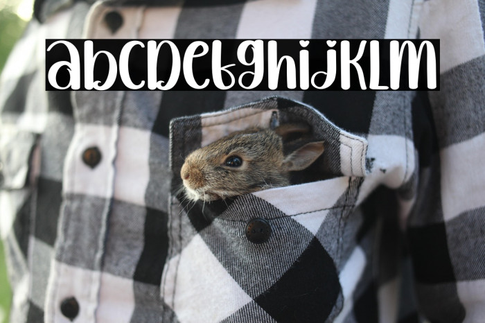 Juice Mango Example 3