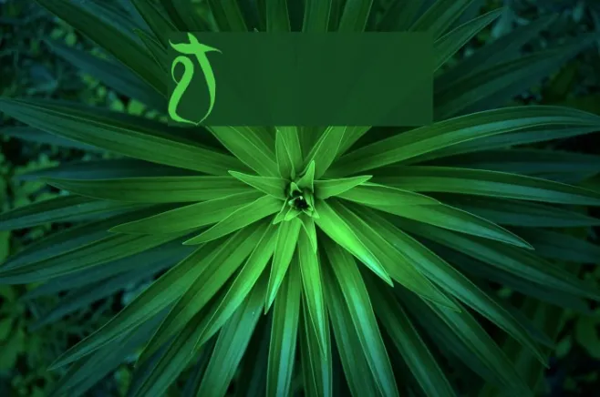 Juiced Example 1