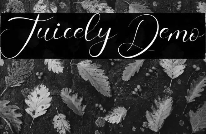 Juicely Demo Font examples