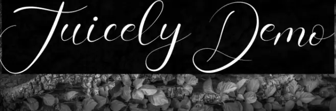 Juicely Demo Font examples