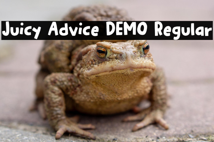 Juicy Advice DEMO Regular Example 1