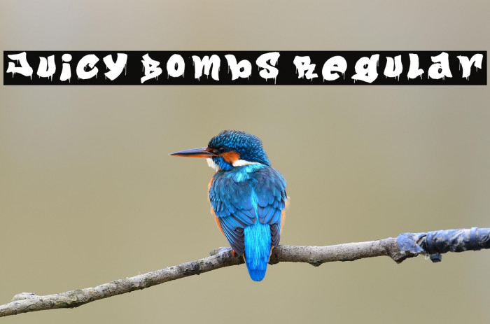 Juicy Bombs Regular Example 3