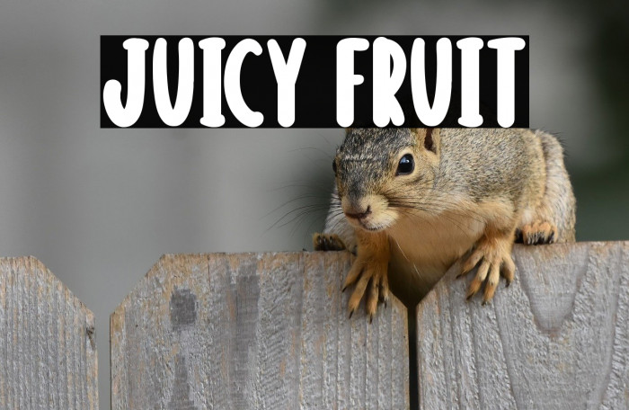Juicy Fruit Example 3