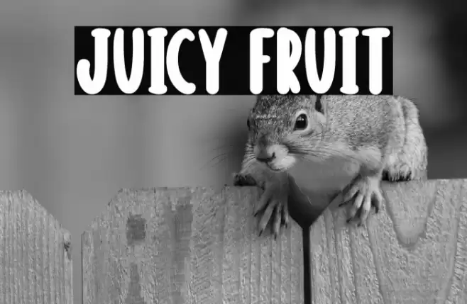 Juicy Fruit Font examples