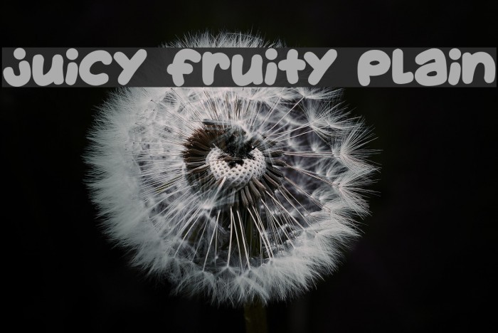 Juicy Fruity Plain Example 3