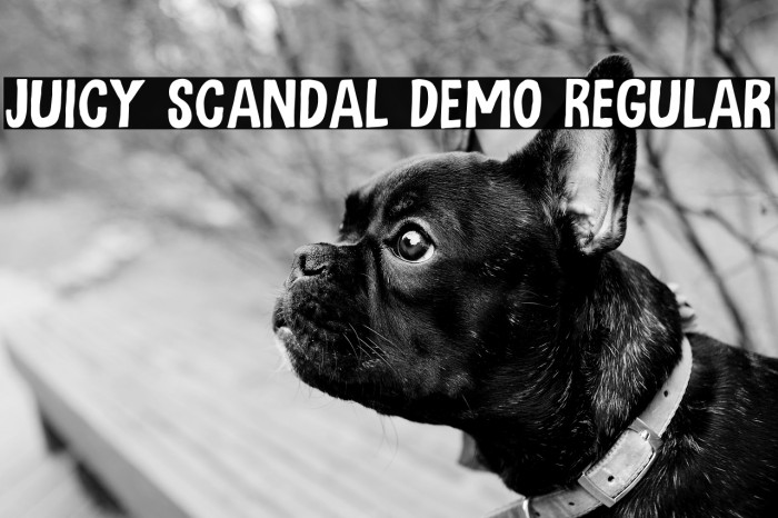 Juicy Scandal DEMO Regular Example 1