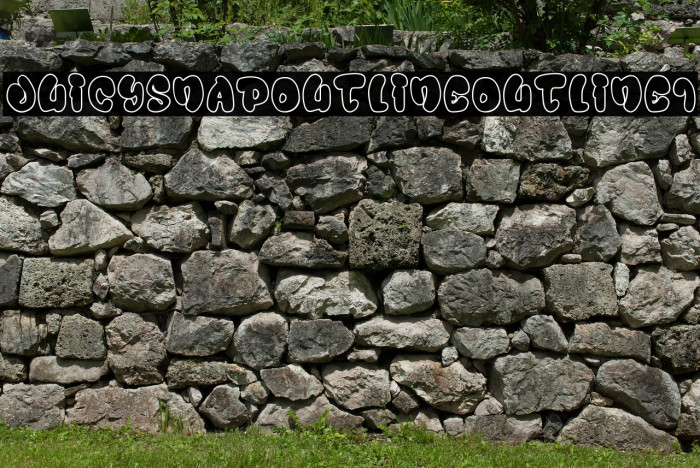 Juicy Snap Outline Outline1 Example 1