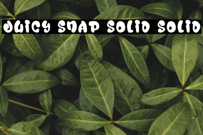 Juicy Snap Solid Solid خط examples