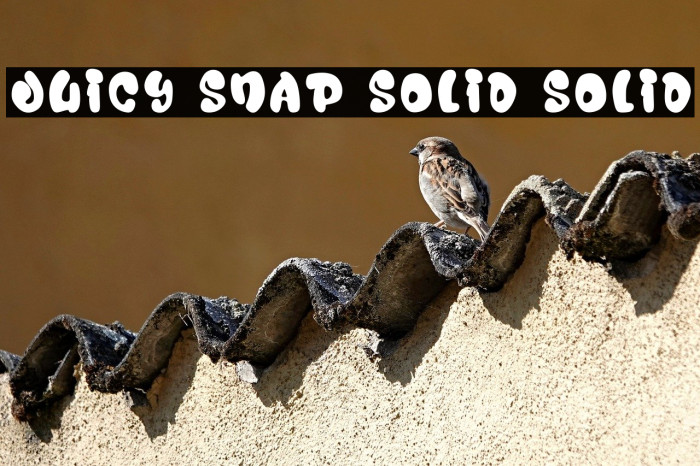 Juicy Snap Solid Solid خط examples