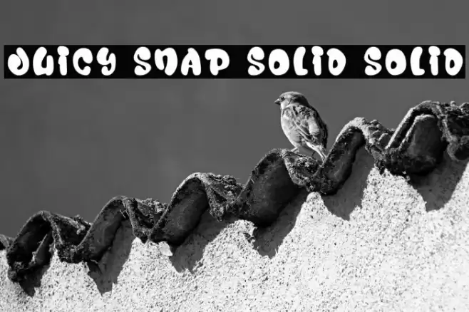 Juicy Snap Solid Solid  examples